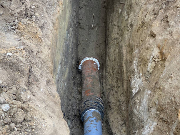 Best Sewage cleanup and water damage restoration  in Scotland Neck, NC