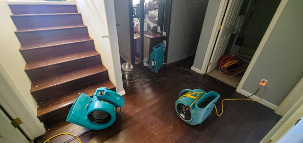Best Water damage mitigation services  in Scotland Neck, NC