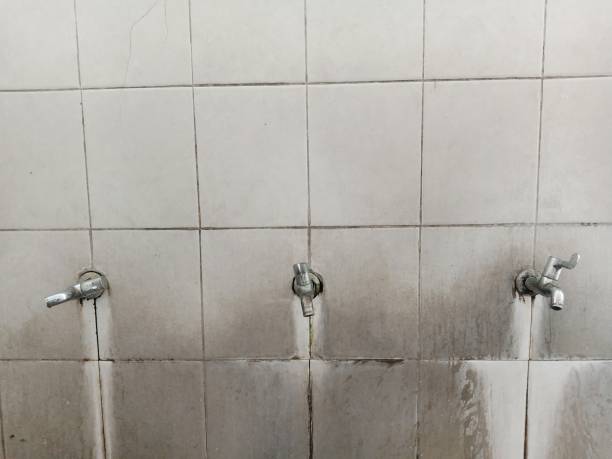 Best Water damage contractors near me  in Scotland Neck, NC