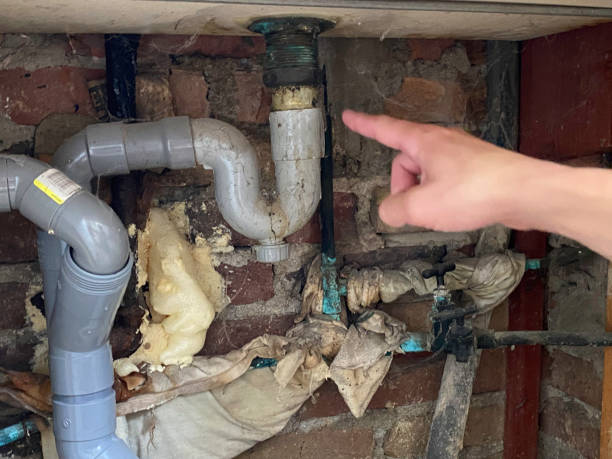 Best Water damage restoration near me  in Scotland Neck, NC